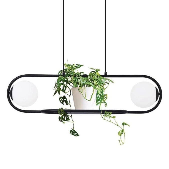 Lampa wisząca FINESTRA szklane klosze, funkcja kwietnika K‑4961 Kaja Lighting - obrazek 1
