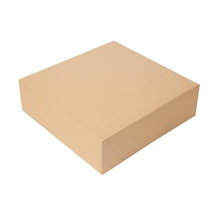 50 sztuk Pudełka bez okna „Thepack” 240 G/M2 32X32X10 Cm Naturalny karton falisty Nano Micro