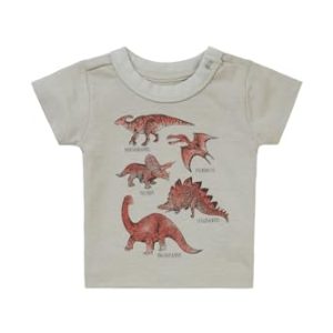 Noppies Baby Boys tee Momence Short Sleeve Koszulka dziecięca, Willow Grey N044, 56 Noppies Baby Boys tee Momence Short Sleeve Koszulka dziecięca, Willow Grey N044, 56