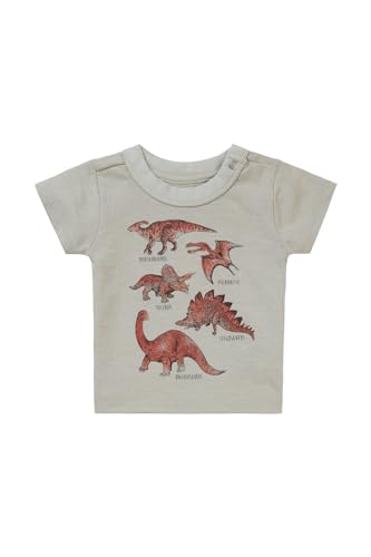 Noppies Baby Boys tee Momence Short Sleeve Koszulka dziecięca, Willow Grey N044, 56