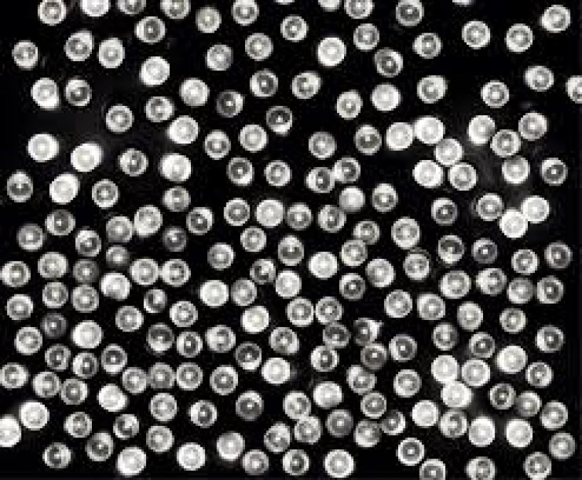 Lampki choinkowe LED 100l z gniazdkiem kolor biały ciepły 9,9m 230V/31V 8,4 W IP44 na zewnątrz i do wnętrz 13‑108 - obrazek 1