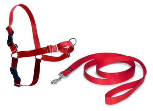 Petsafe EW H S RD 45 Szelki dla Psa, S/1,8m, Czerwony - obrazek 1