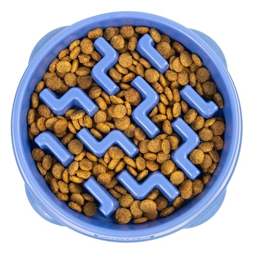 Outward Hound Fun Feeder Miska S Dla Psa Spowalniająca Outward Hound Fun Feeder Miska S Dla Psa Spowalniająca