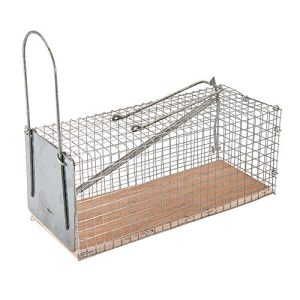 Fixman 197512 pułapka na klatkę mysz 250 x 90 mm Fixman 197512 pułapka na klatkę mysz 250 x 90 mm