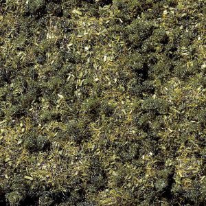 Ściółka leśna, NOCH 8350, 20 g Ściółka leśna, NOCH 8350, 20 g