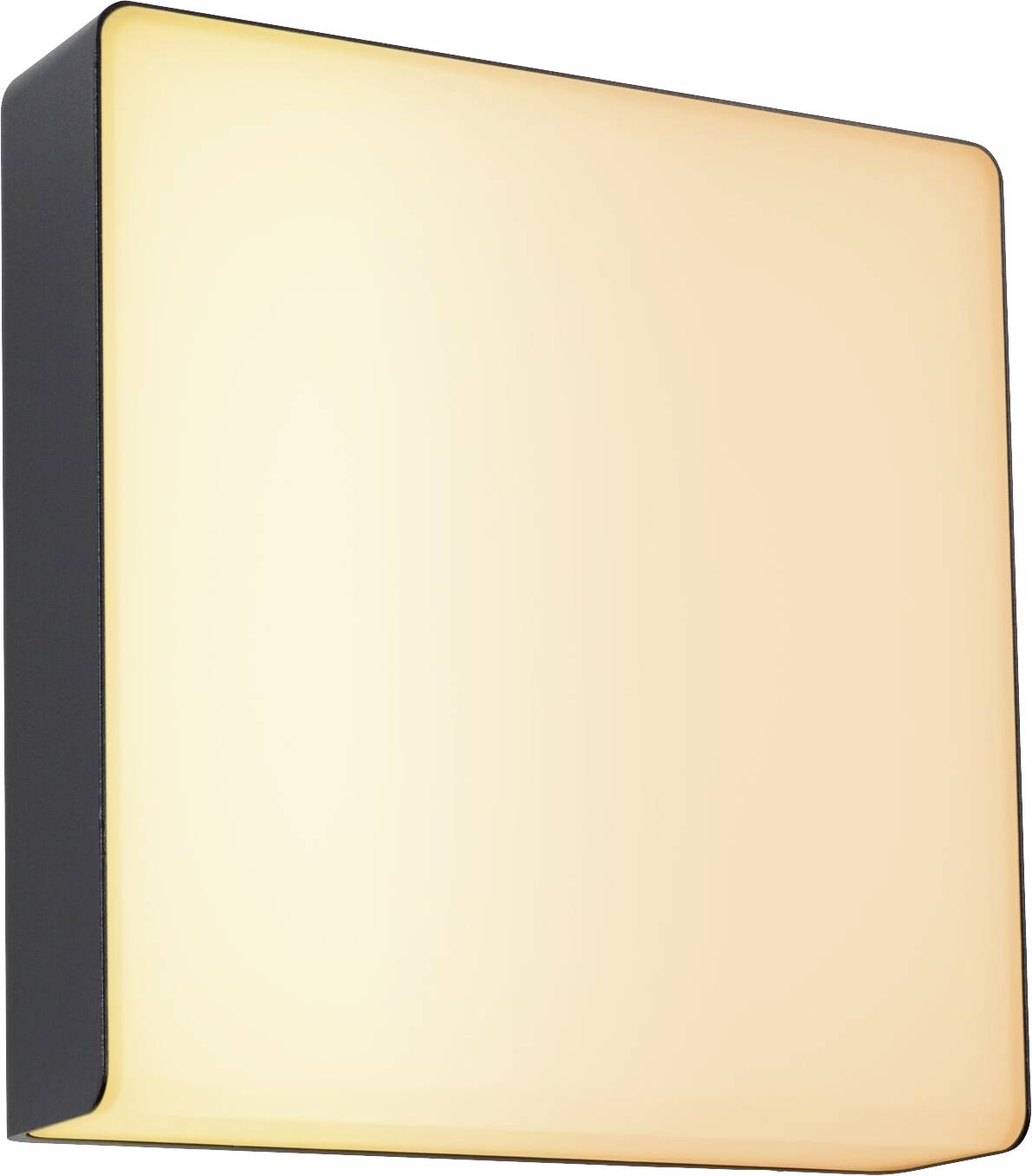 Lampa ścienna zewnętrzna LED z czujnikiem ruchu Paulmann Azalena 94842, 1 szt. - obrazek 1