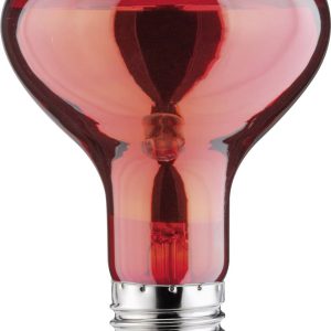 lampa IR Paulmann E-27 60 W (Ø x D) 80 mm x 115 mm 230 V 1 szt. lampa IR Paulmann E-27 60 W (Ø x D) 80 mm x 115 mm 230 V 1 szt.
