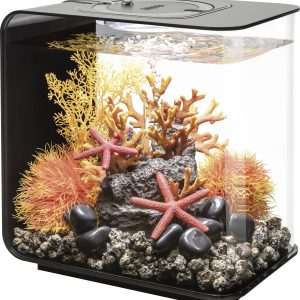 Akwarium akrylowe Oase biOrb FLOW 15 LED schwarz 72029, z Podświetleniem LED, 15 l, (D x S x W) 208 x 300 x 315 mm Akwarium akrylowe Oase biOrb FLOW 15 LED schwarz 72029, z Podświetleniem LED, 15 l, (D x S x W) 208 x 300 x 315 mm