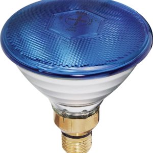 Żarówka reflektorowa PAR 38, 80 W, trzonek E27, niebieska Żarówka reflektorowa PAR 38, 80 W, trzonek E27, niebieska