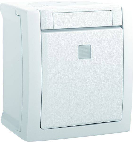 HHG Płytka przycisku Włącznik 90591163-DE 1 szt. - obrazek 1