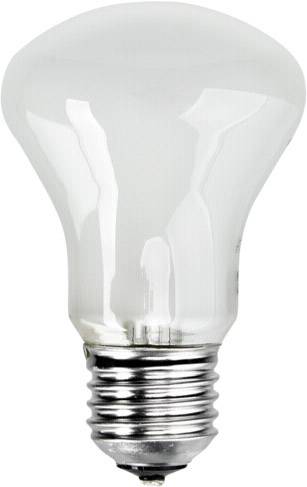 Elinchrom Einstellampe 196V/100W E 27 E23002 Żarówka - obrazek 1