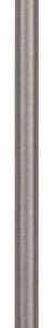 Bit szcześciokątny T 30 Bosch Accessories Bosch Power Tools 2607001674 E 6.3 1 szt.