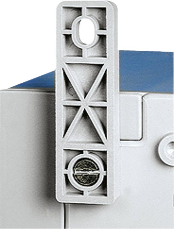 Schneider Electric NSYPFPLMG Wall mount 4 x poliamid szaro-biały (ral 7035) 1 szt.