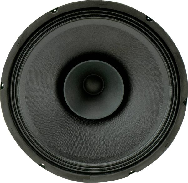 Sintron 201011 30 cm Głośnik szeroko pasmowy 120 W 8 Ω czarny
