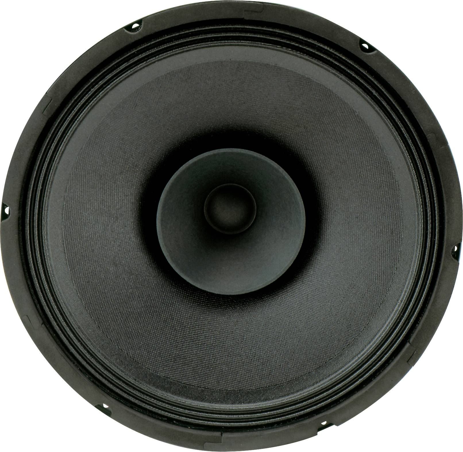 Sintron 201011 30 cm Głośnik szeroko pasmowy 120 W 8 Ω czarny - obrazek 1