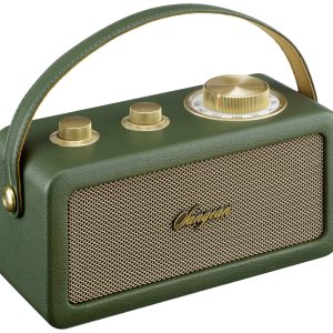Radio akumulatorowe Sangean RA-101 FM wielokrotne ładowanie zielony, złoty Radio akumulatorowe Sangean RA-101 FM wielokrotne ładowanie zielony, złoty