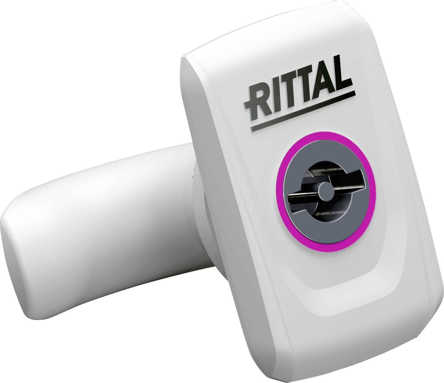 Rittal 2420010 Zatrzask SZ do AX, plastikowy, z wkładką dwupiórkową Closure 1 szt. - obrazek 1